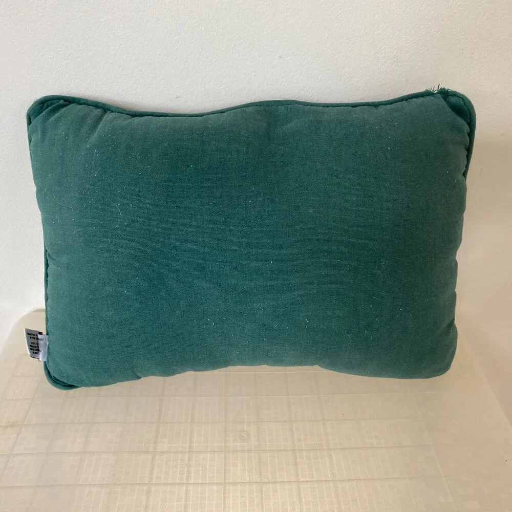 Green Accent Pillow